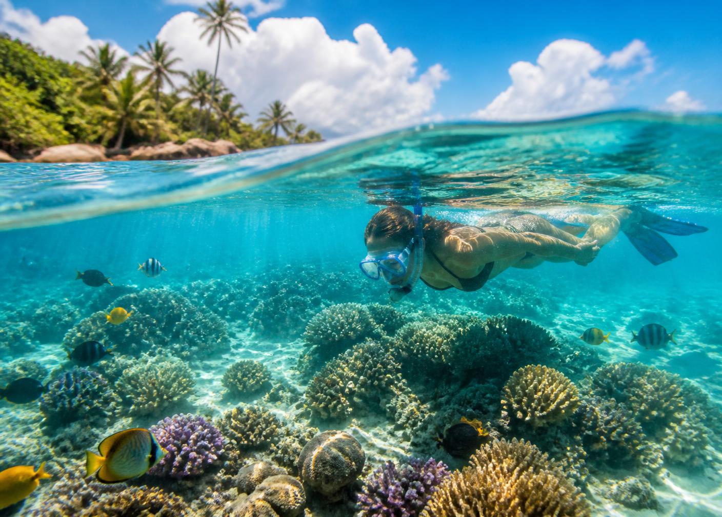 Snorkeler above a coral reef in clear turquoise Caribbean water