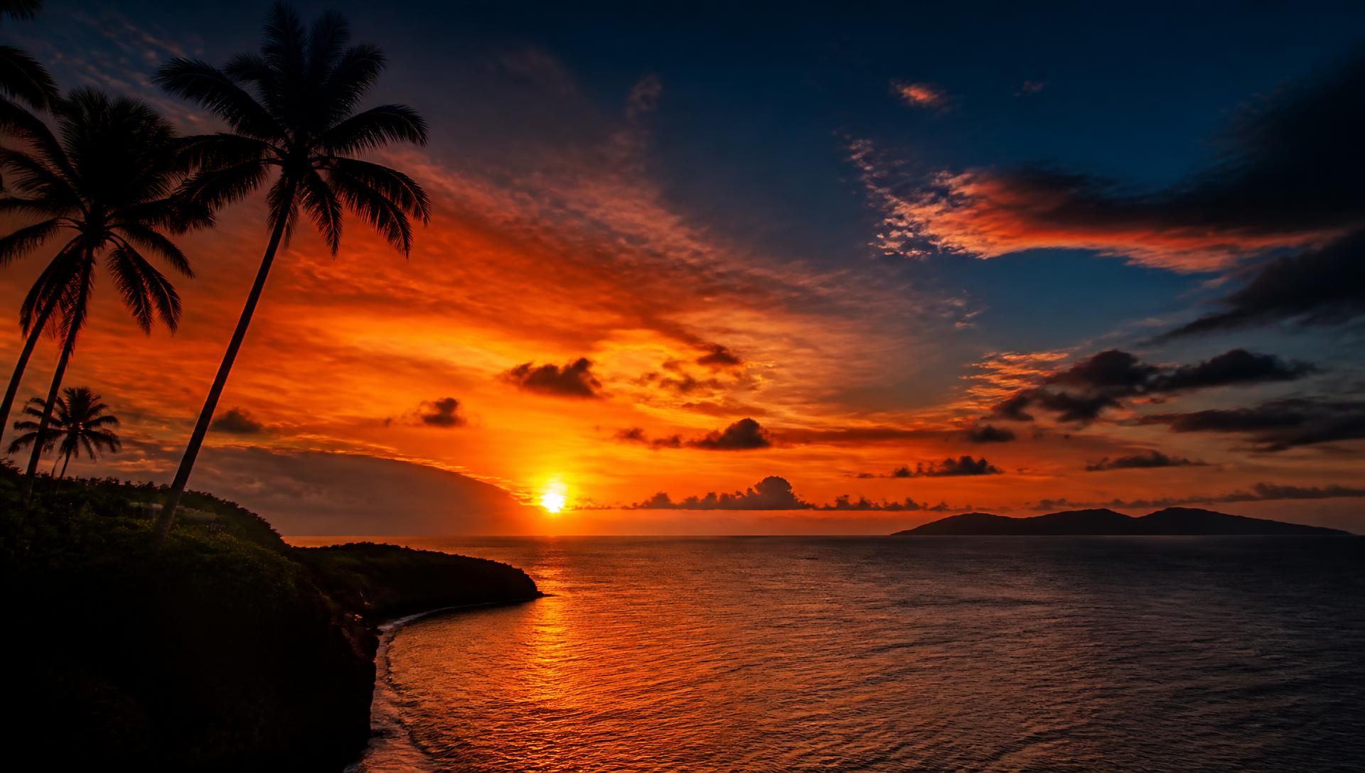 Caribbean sunset seen from the clifftop with silhouetted palms above a calm sea